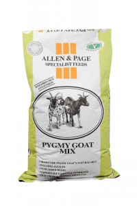 Allen & Page Pygmy Goat Mix